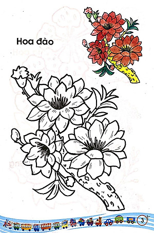 Sách Tập Tô Màu Các Loại Hoa