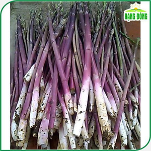 Hạt giống Măng Tây Tím - Hạt giống Rạng Đông