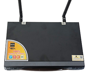 MICRO KHÔNG DÂY CAO CẤP RV-9900- HÀNG NHẬP KHẨU