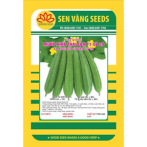Hạt giống mướp khía Thái Lan F1 giống nảy mầm khỏe trái sai VTS128
