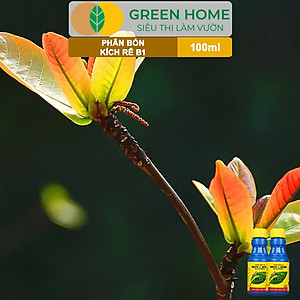 Phân Bón Kích Rễ, Greenhome, B1, Chai 100ml, Tạo Mầm, Rễ Khoẻ, Sai Hoa, Phục Hồi Rễ Yếu, Lá Dày