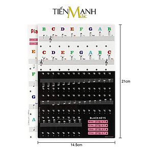 Sticker Dán nốt bàn phím cho Đàn Piano và Organ - Decal đánh dấu vị trí note nhạc dùng cho tất cả Đàn 88, 61, 54, 49 Phím Hàng Chính Hãng - Kèm Móng Gẩy DreamMaker