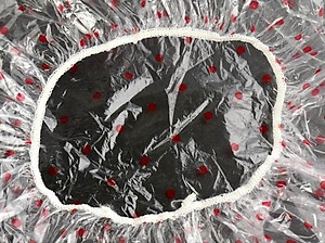 Set 06 mũ tắm trùm đầu, họa tiết chấm bi Free size Shower Cap Seiwa - Hàng nội địa Nhật Bản