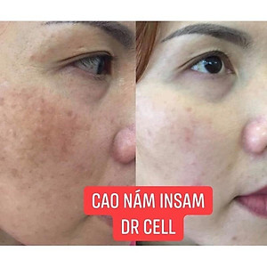 Cao Nám Insam DR CELL 20g hỗ trợ mờ thâm nám dưỡng trắng da la,2 đều màu da - Hàng Chính Hãng