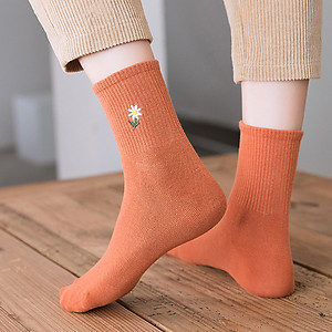 Set 5 Đôi Tất Nữ Cổ Cao Cao Cấp, Vớ Nữ Cao Cổ Họa Tiết Hoa Cúc - FIVE-CAO-HOACUC-CB5