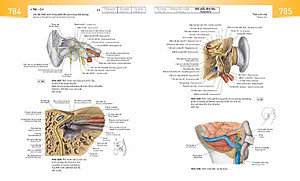 Sách Sobotta Atlas Giải Phẫu Người