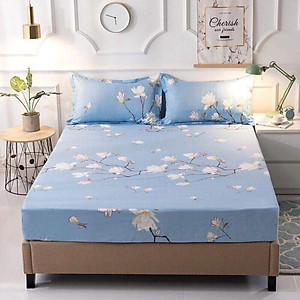 Ga chống thấm cotton CT20