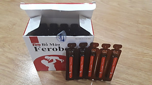Thực phẩm chức năng Siro Bổ Máu Ferobes - bổ sung sắt và khoáng chất