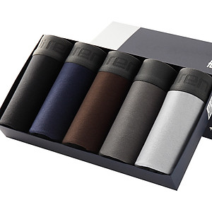 Hộp combo 5 sịp đùi boxer SQB101 BLACK