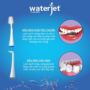 Set 2 đầu bàn chải tiêu chuẩn/mini thay thế bàn chải sóng âm WaterJet Sonic Toothbrush