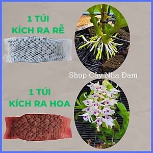 Phân Kích Thích Ra Rễ, Ra Hoa Cho Phong Lan, Cây Cảnh, Dưỡng Cây, Siêu Tan Chậm