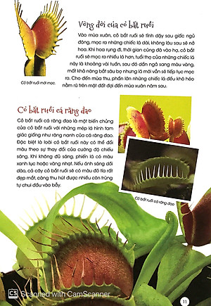 Sách Thực Vật Thần Kỳ