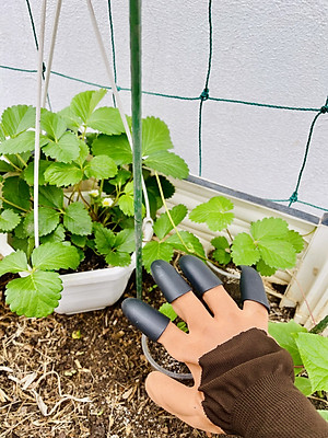 Găng Tay Làm Vườn Có Móng Đào Đất Trồng Cây