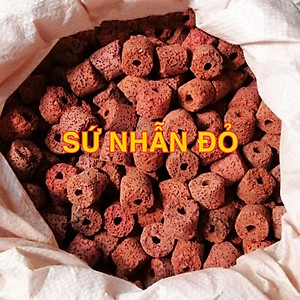 Vật Liệu Lọc Hồ Cá (100g) - Viên Sứ Lọc, Xử Lý Nước Bể Cá Loại Tốt Giá Rẻ - Phụ Kiện Thủy Sinh Cá Cảnh