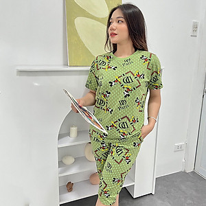 Đồ bộ mặc nhà quần lững LN1 - Đồ ngủ mặc nhà nữ - Đồ bộ nữ lững - Bộ đồ nữ mặc nhà