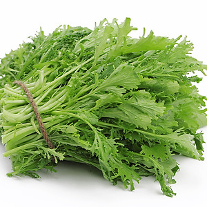 Hạt giống Cải Ngọt Đuôi Phụng 20gram