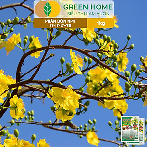 Phân Bón NPK 17-17-17, Greenhome, Gói 1kg, Bung Chồi Đọt, Thúc Nút Kim, Tạo Mầm Dưỡng Hoa