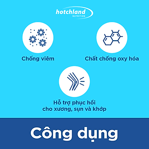 Viên uống xương khớp Glucosamine hỗ trợ tái tạo sụn khớp, giảm sưng đau khớp Mega Flex - Hàng chính hãng Hotchland Nutrition Việt Nam [Hộp 60 viên] - HL4646