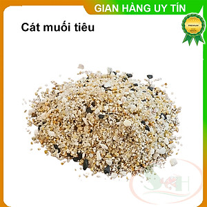 Cát trải nền nắng vàng / muối tiêu / trắng ngà / kim sa set bể thủy sinh cá tép cảnh
