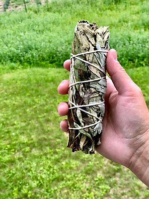 Bó lá xô thơm trắng và lá thánh (white sage + Yerba Santa)