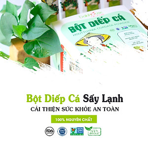 Bột Diếp Cá hữu cơ nguyên chất sấy lạnh Dalahouse - Hộp 20 gói nhỏ 3gr định lượng sẵn cho 1 lần sử dụng - Mát Gan, ngừa mụn, ngừa trĩ và táo bón. Hỗ trợ bảo vệ Phổi