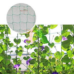 Lưới Làm Giàn Leo Siêu Bền