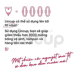 Cốc nguyệt san Lincup 0 chính hãng (25ml) - Nhập Khẩu Mỹ