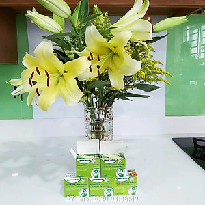 Set 50 gói Bột Dung Dịch Dưỡng Hoa LILY Longlife Nhập khẩu Israel giúp hoa Lily tươi lâu gấp 2 lần, cánh hoa đậm màu và 14 ngày không thay nước cắm hoa (1 gói 5gr pha được 0.5 lít nước) 