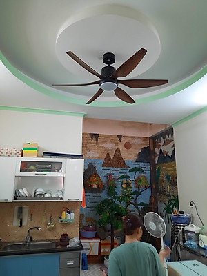 Quạt trần trang trí phòng khách hiện đại - F34