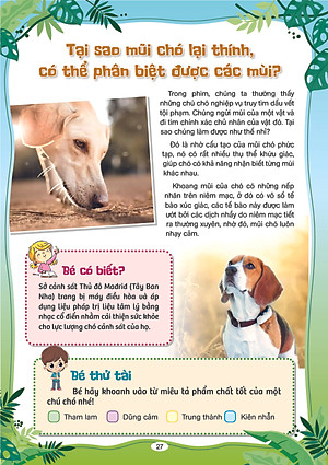  10 Vạn Câu Hỏi Vì Sao - Cùng Trẻ Khám Phá Thế giới Xung Quanh - Sách Phát Triển Tư Duy Và Ngôn Ngữ Cho Trẻ 