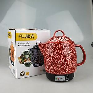 Ấm sắc thuốc điện tự động fujika FJ-ck33 dung tích 3L,Màu chọn phân loại, hoa văn ngẫu nhiên-Hàng chính hãng