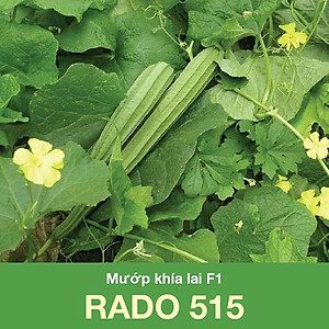 Hạt Giống Mướp Khía Sai Trái, Chịu Nhiệt 10 Hạt