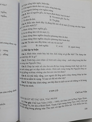 Ôn tập thi vào lớp 10 môn Ngữ Văn