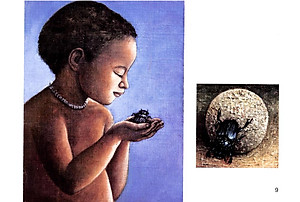 Sách Những Cuộc Phiêu Lưu Của Dabo (Tập 1) - Chuồn Chuồn Thần