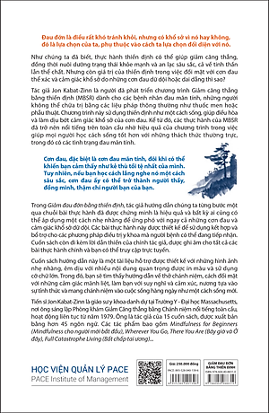 Sách Giảm Đau Đớn Bằng Thiền Định