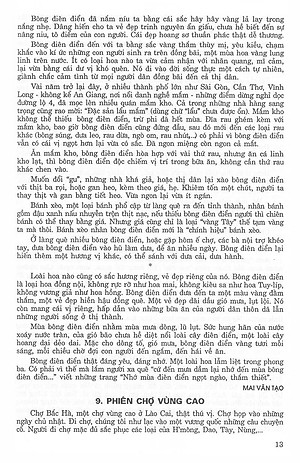 Sách 171 Bài Và Đoạn Văn Hay Lớp 9