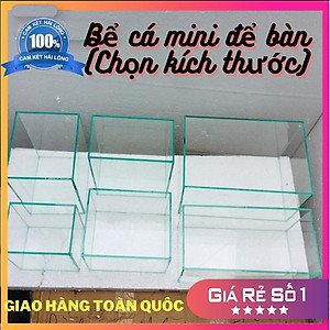 Bể cá mini , Nhiều kích thước lựa chọn, đầy đủ phụ kiện trang trí.