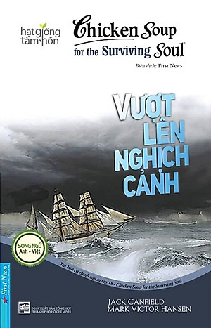 Hạt Giống Tâm Hồn - Chicken Soup For The Soul - Vượt Lên Nghịch Cảnh - FN