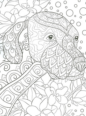 Sách Tô Màu Người Lớn - ĐỘNG VẬT HOANG DÃ: Tô Màu Cho Cuộc Sống Bình Yên Và Thư Giãn (Adult Colouring Book -Wilderness: Colouring For Peace And Relaxation)