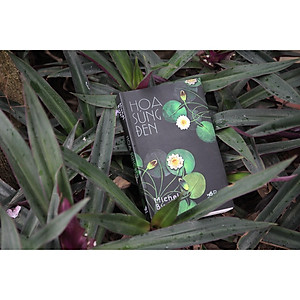 Sách Hoa Súng Đen