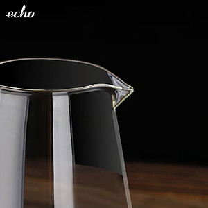 Ấm pha trà thủy tinh chịu nhiệt kèm lõi lọc Inox Echo Japan 650ml