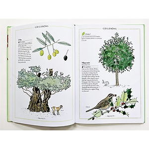 Sách Bách khoa thư cho cả nhà - Thế giới cây cối bằng tranh