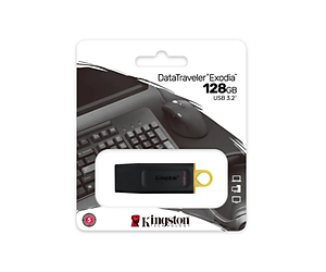 USB Kingston DT100G3 128GB chính hãng