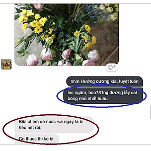 Dung Dịch Xử Lý Hoa TOG Galileo của ISRAEL (Chai 1 Lít) dùng bảo quản hoa cắt cành tươi lâu tại Nhà Vườn Trồng Hoa, Vựa Hoa và Chợ Sỉ Hoa. Tỷ lệ dung dịch 0.1% tức chai 1 Lít TOG pha được 1.000 Lít dung dịch xử lý hoa