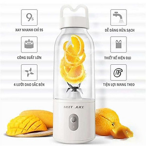 Máy Xay Sinh Tố,Hoa Quả Mini Cầm Tay Deliya 500ml - Hàng chính hãng - MEETJUICE