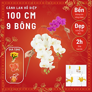 Cành lan hồ điệp giả cao cấp - 1 cành - 9 bông - dài 100cm - Cây giả, hoa lụa Decor trang trí nhà cửa