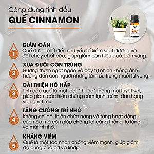 Combo 3 Tinh Dầu Kobi Nhập Khẩu Ấn Độ: Tinh Dầu Sả Chanh (30ml) + Tinh Dầu Bạc Hà (30ml) + Tinh Dầu Vỏ Quế (30ml) - Tinh Dầu Thiên Nhiên Nguyên Chất, Tinh Dầu Xông Phòng, Dùng Với Máy Xông Tinh Dầu Giúp Khử Mùi, Thơm Phòng Hiệu Quả