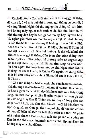 Việt Nam Phong Tục