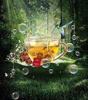 Trà Quế  giúp giảm cân, giúp lưu thông máu,tăng kháng thể, ổn định đường huyết, ngủ ngon, hơi thở thơm hương Quế Rừng Xanh- Quế rừng Trà Bồng Quảng Ngãi, món quà về sức khỏe và tinh thần