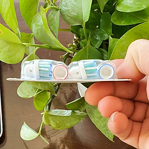 Cho máy Oral B Braun Cross Action EB50A, Bộ 4 đầu bàn chải đánh răng điện đánh tan mảng bám Minh House